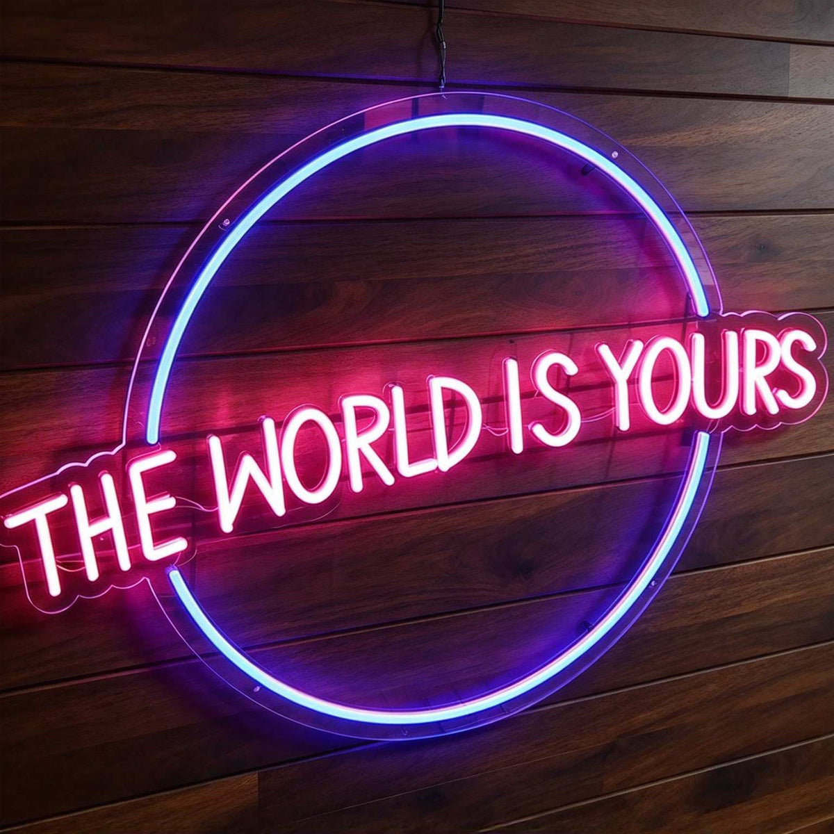 The World Is Yours LED Neon Sign BLDA025