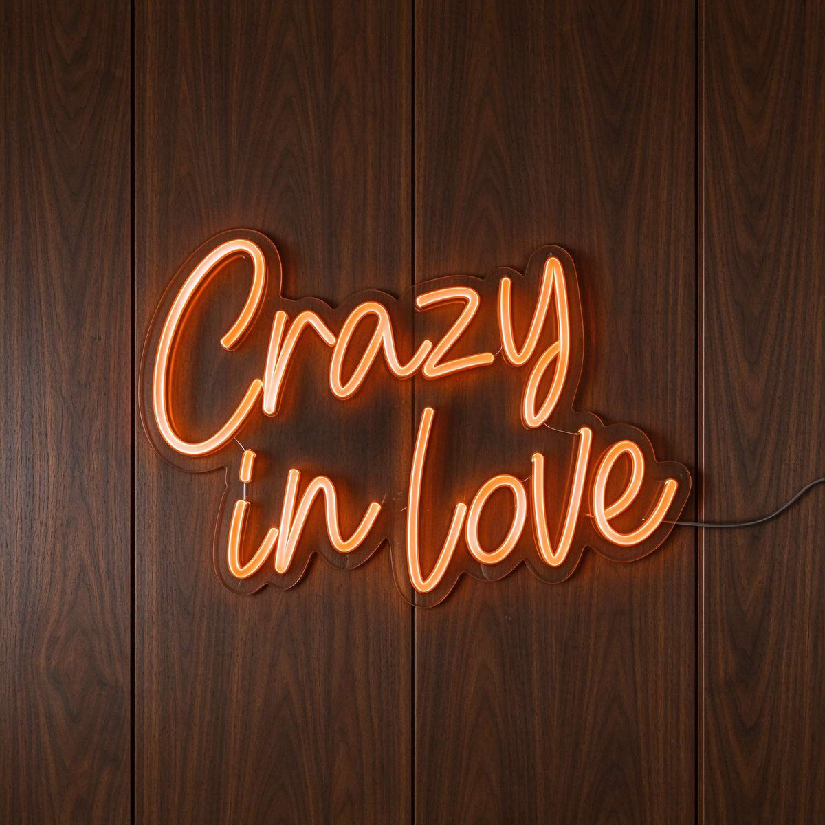 Crazy in Love LED Neon Sign BLDA059