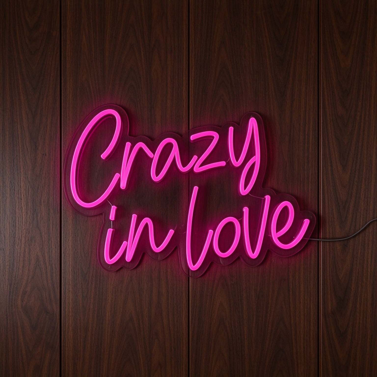 Crazy in Love LED Neon Sign BLDA059