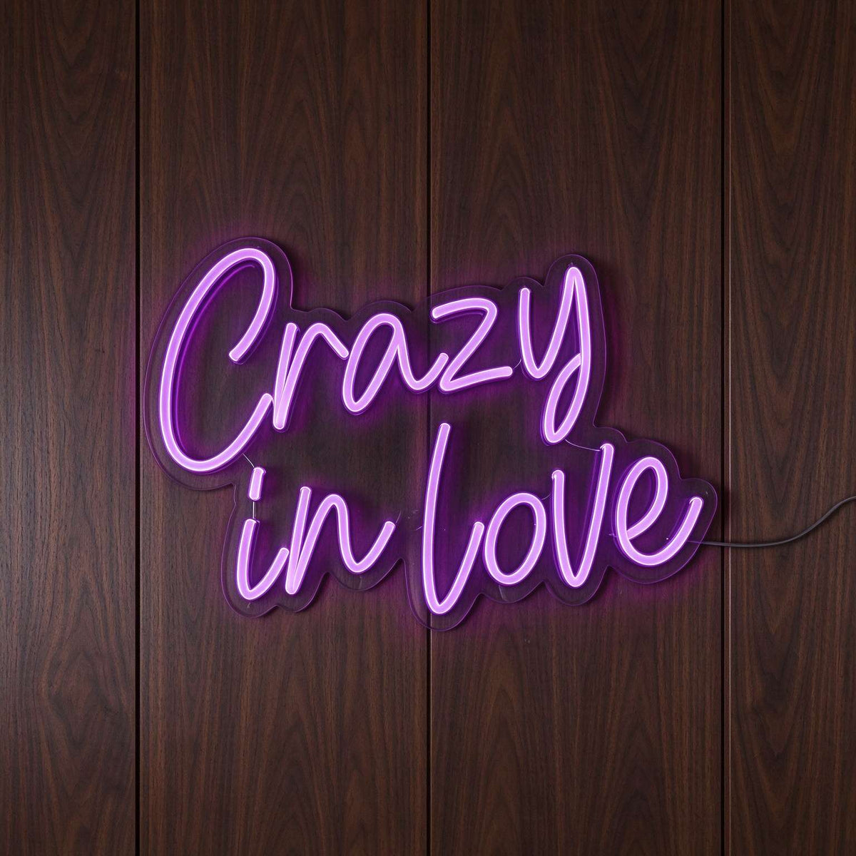 Crazy in Love LED Neon Sign BLDA059