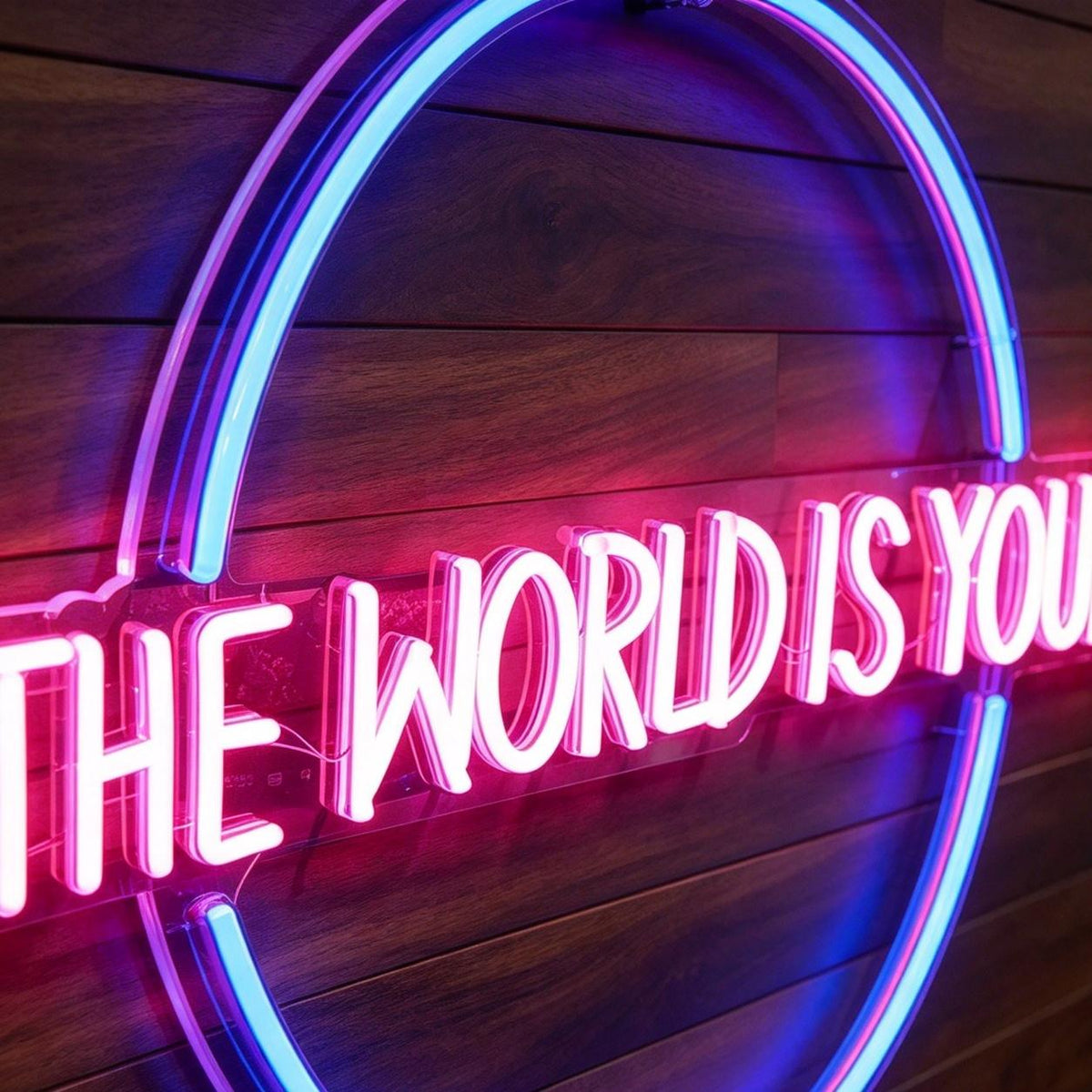 The World Is Yours LED Neon Sign BLDA025