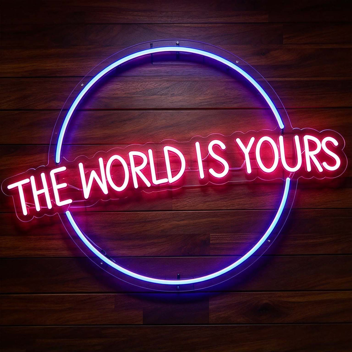 The World Is Yours LED Neon Sign BLDA025